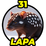 Lapa